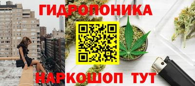марихуана Будённовск