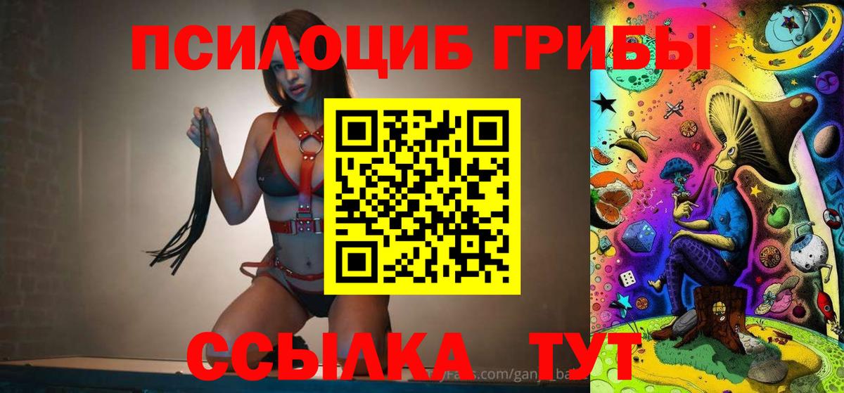 Галлюциногенные грибы Cubensis  Вход с VPN  Прохладный 