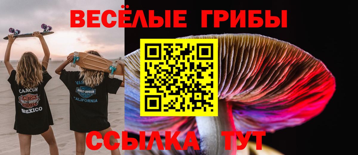 Псилоцибиновые грибы Cubensis Прохладный